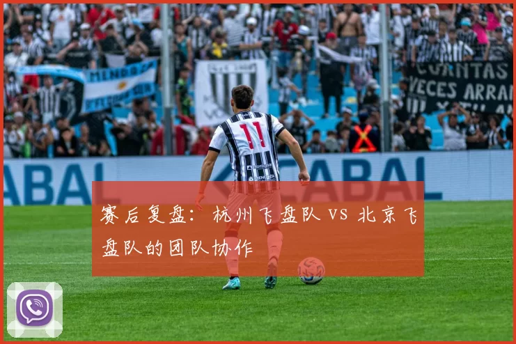 赛后复盘：杭州飞盘队 vs 北京飞盘队的团队协作