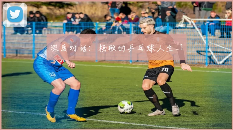 深度对话：杨敏的乒乓球人生_1