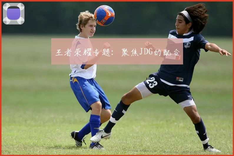 王者荣耀专题：聚焦JDG的配合