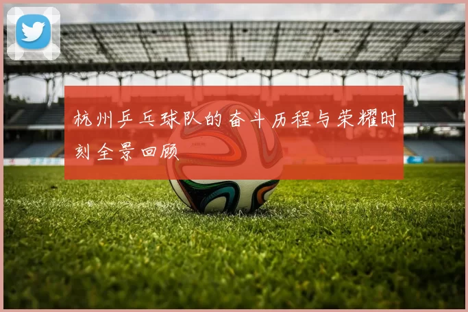 杭州乒乓球队的奋斗历程与荣耀时刻全景回顾