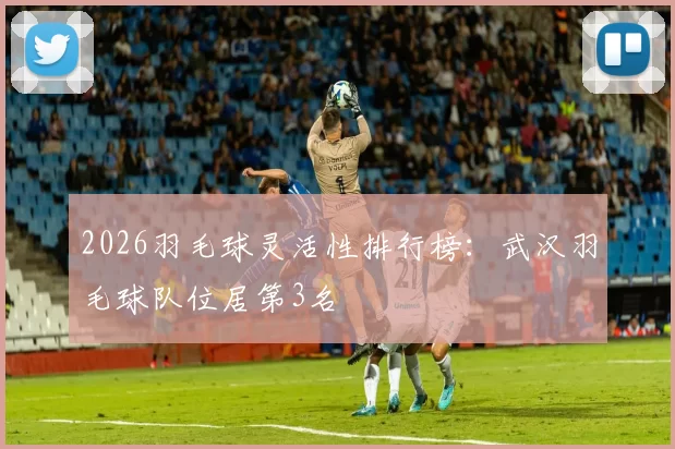 2026羽毛球灵活性排行榜：武汉羽毛球队位居第3名