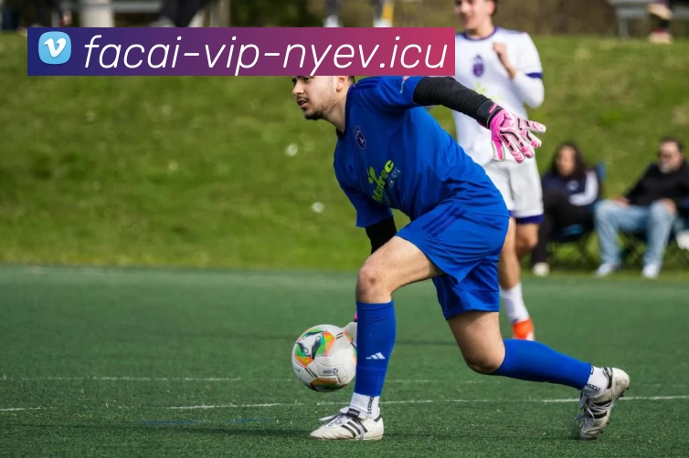 乐鱼体育全站App